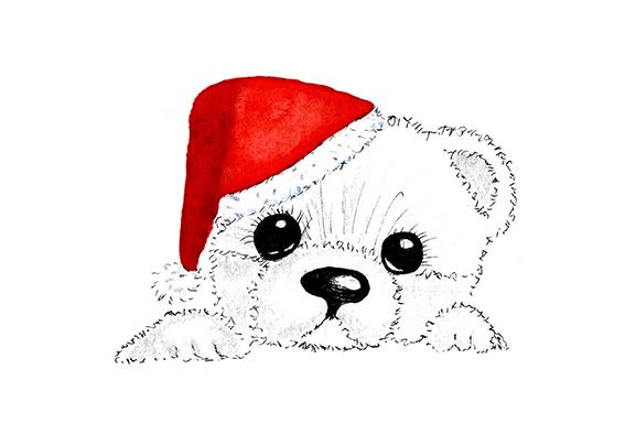 Beertje met kerstmuts