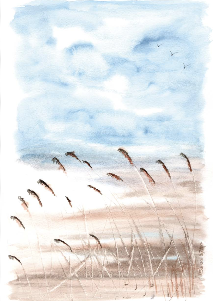 Landschap aquarel